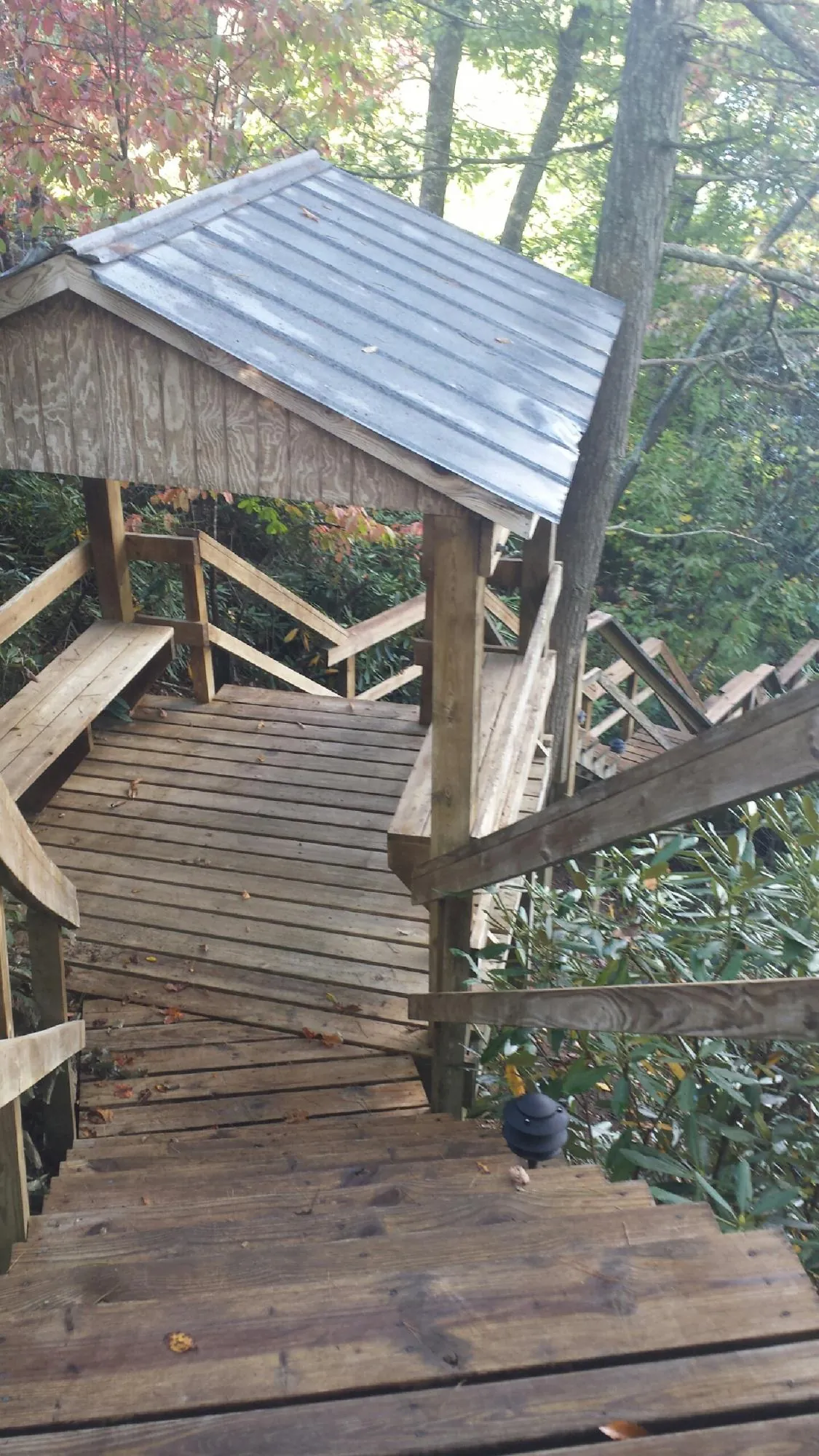 Metal roofed shelter over wooden steps on a wooded walkway — Skylight Repair & Installation work by our crew in North Bend